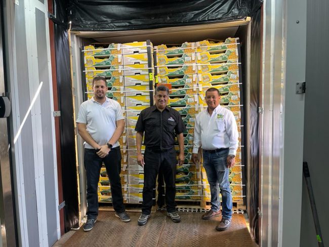 2022-04-27-Se reactiva exportación de piña