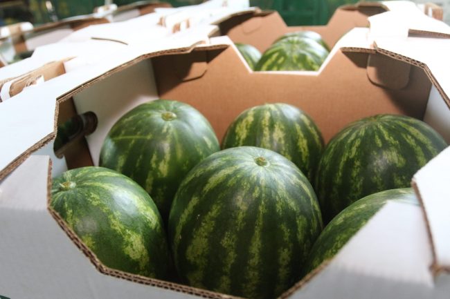 2022-05-16-Exportaciones panameñas