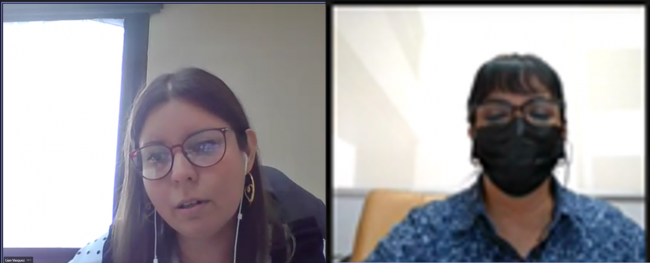 MICI- DGI webinar SEM