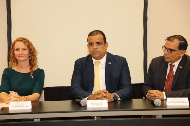Seminario sobre mineria 3