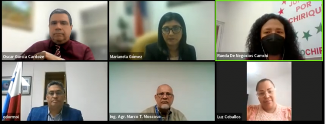 Webinar Oportunidades EEUU