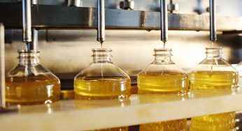 Exportaciones sin cobre alcanzan sus valores más altos desde 2010