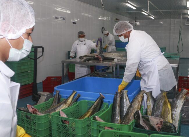 Exportaciones pesc