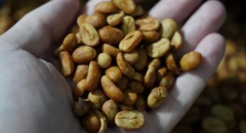 Casa Bruja incursiona en venta de café especial apoyada por el MICI