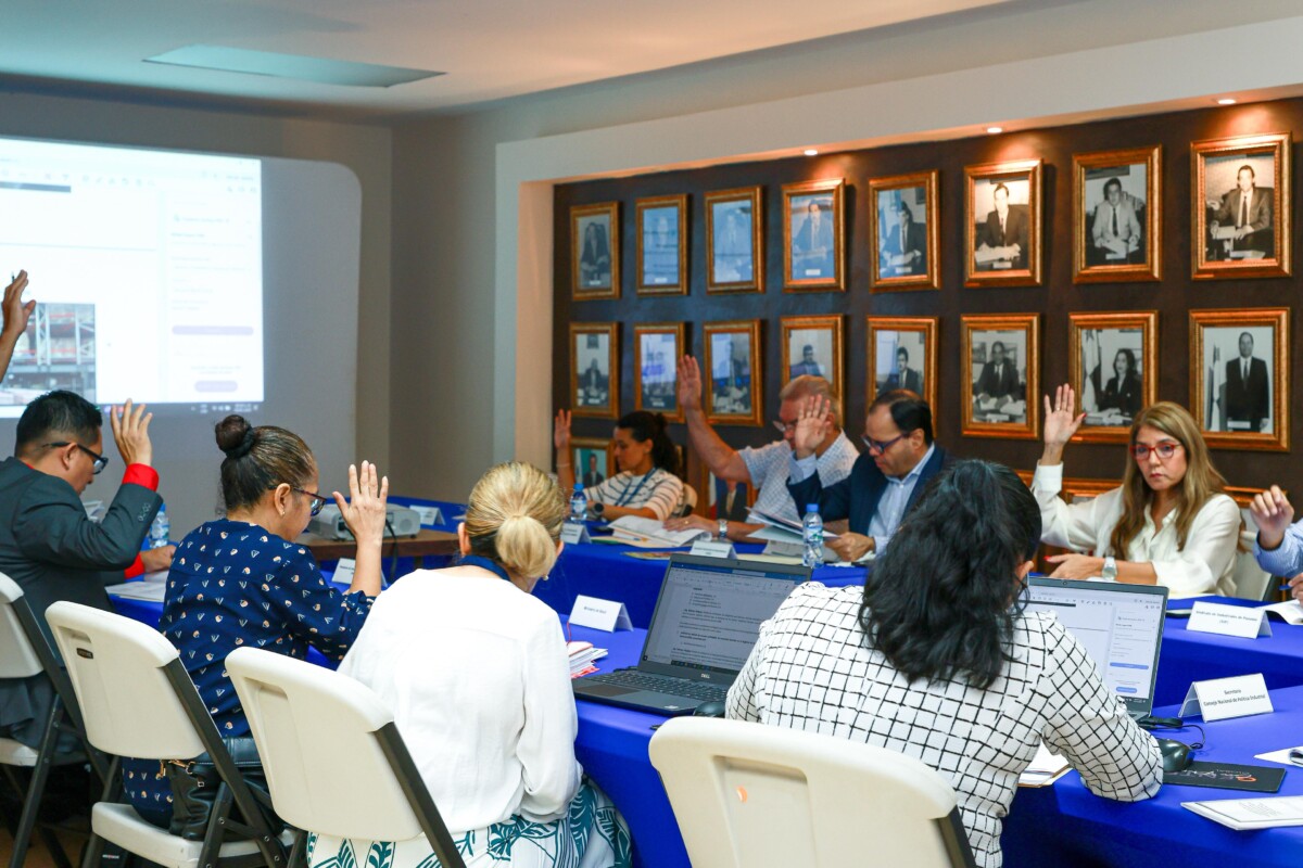 CONAPI aprueba nuevas inscripciones en el RIN y refuerza estrategias para fortalecer la industria nacional